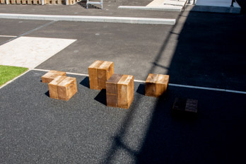 Stepping Logs
