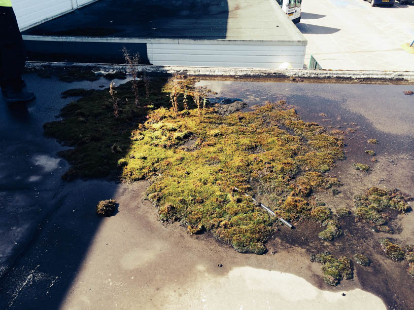 Old Roof Image